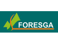 Foresga